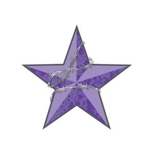 Purple Star Country Boutique